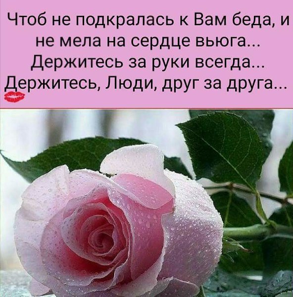 ���� - 6 ��� 2018 � 06:33