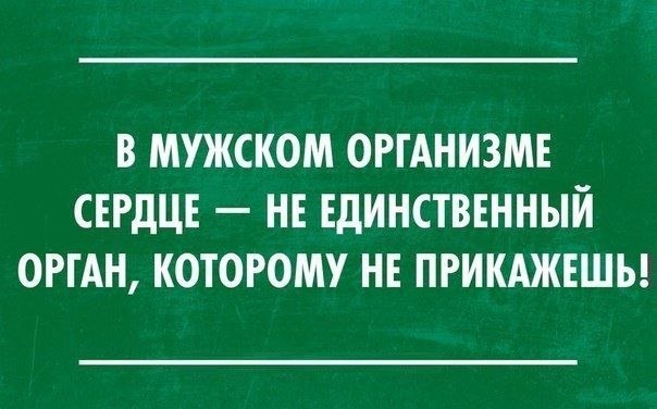������ ������� - 3 ��� 2018 � 18:29
