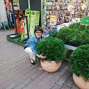 ���� ���������, ������, 48 ��� - ��������� 10 ���� 2018 � ������ ���� ����������