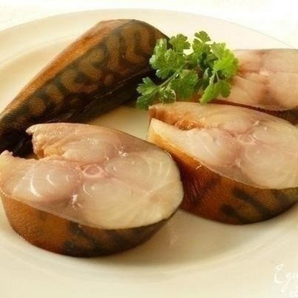Скумбрия