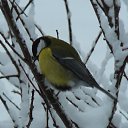 ���� �����, �����-��������� - ��������� 9 ������ 2018 � ������ ���� ����������