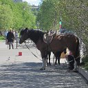 ���� �������, ��������, 47 ��� - ��������� 12 ����� 2018 � ������ �����������