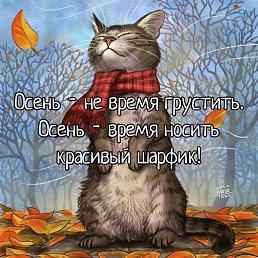 �, ������ �����, 41 ���