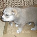    , -- -  23  2018   ...   ...