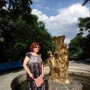  , , 56  -  8  2018    2018