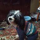 ���� Nadezhda, ��������, 64 ���� - ��������� 20 ��� 2018 � ������ ������ ��������