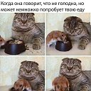 ���� ����, ������, 50 ��� - ��������� 26 ��� 2018 � ������ ������ ��������