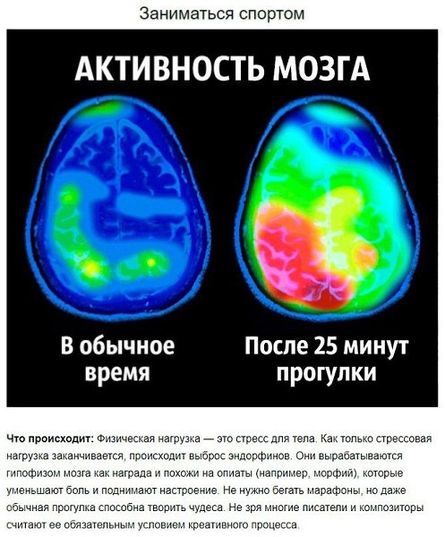 8 советов нейробиолога о том, как стать счастливым раз и навсегда. - 6