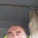 ���� �����, ����������, 65 ��� - ��������� 26 ���� 2018 � ������ ���� ����������