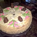 ���� �����, ������������ - ��������� 31 ������� 2017 � ������ ���� �����������