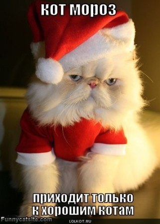 � ����� �����! - 27 ������� 2017 � 15:55