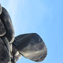 ���� ������, ������ ��������, 65 ��� - ��������� 10 ������� 2017 � ������ ���� ����������