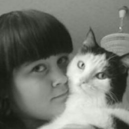 ���� ����, �����������, 29 ��� - ��������� 5 ������� 2017