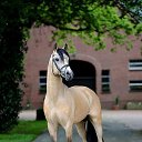 ���� �������, ������ - ��������� 7 ���� 2018 � ������ ��������