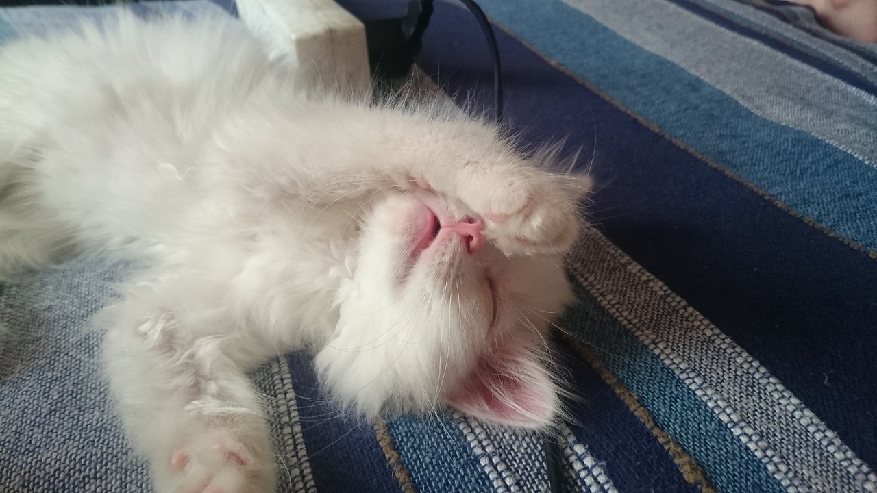 #_.  ,   ,    .   ... - 2