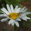 ���� �����, �������, 62 ���� - ��������� 23 ������� 2018 � ������ ����� 2017�