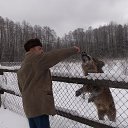 ���� �����, �����, 63 ���� - ��������� 3 ���� 2018 � ������ ���� ����������