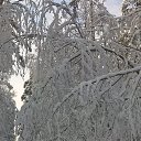 ���� 2018 �� ������� ���� ����������