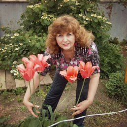 ����, �������-����������