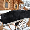 ���� ������, ������ - ��������� 25 ��� 2018 � ������ ���� ����������
