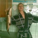 ���� ������, �����-���������, 46 ��� - ��������� 28 ������ 2017 � ������ ���� ���� ������