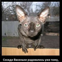 ���� �������, ����-���������, 60 ��� - ��������� 28 ��� 2018