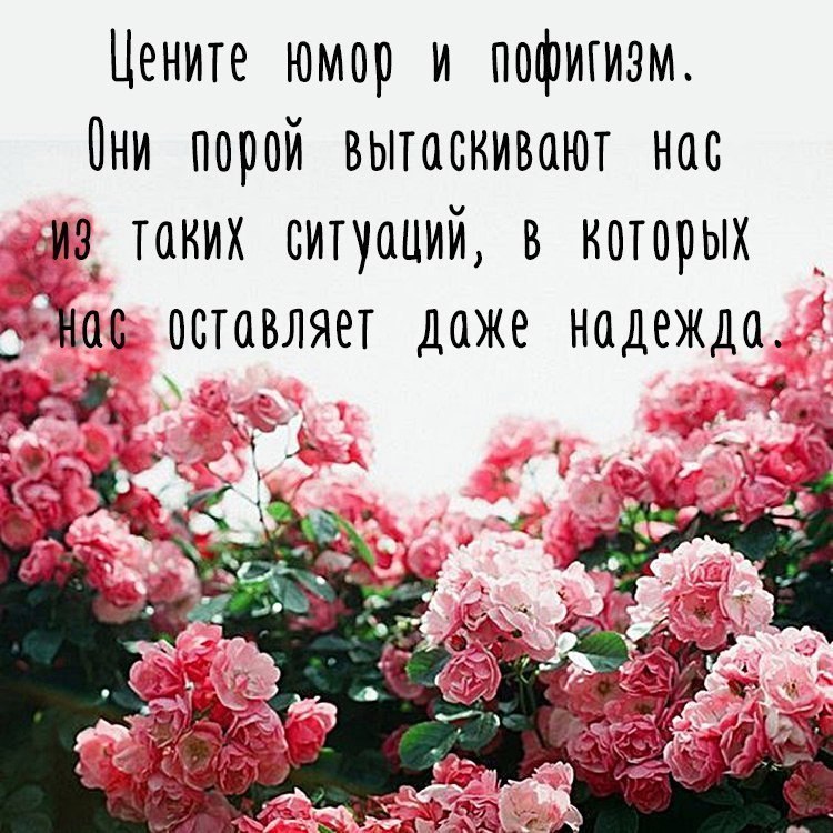  ))) - 28  2018  12:35