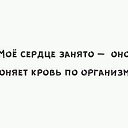 ���� �����, ���������� - ��������� 20 ������ 2018 � ������ ���� ����������