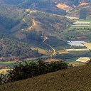 ���� Lilly, ����������� - ��������� 27 ����� 2018 � ������ ������ ��������