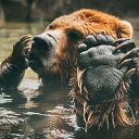 ���� ����, ���������, 44 ���� - ��������� 5 ������� 2018 � ������ ���� ����������