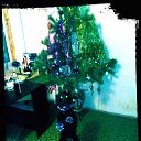 ���� ���������, �������� - ��������� 31 ������� 2017 � ������ ���� ����������