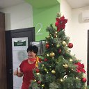 ���� �����, ������ - ��������� 28 ������� 2017 � ������ ������ ��������
