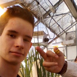 ���� �������, ������, 26 ��� - ��������� 17 ���� 2018