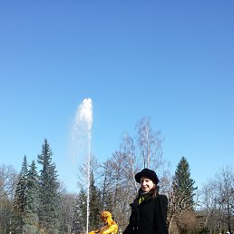  , -, 49  -  12  2018