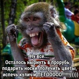 ����, ������, 43 ����