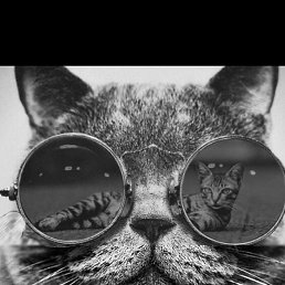 ���� ������, ���, 39 ��� - ��������� 26 ������� 2017