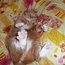 ���� ������, ������ - ��������� 6 ����� 2018 � ������ ���� ����������