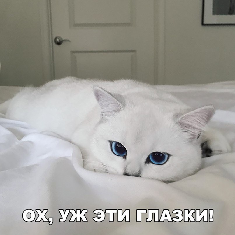 ��������� - 30 ������ 2017 � 18:43