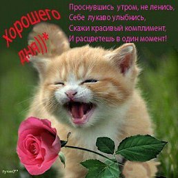 ���� �������, ������, 66 ��� - ��������� 16 ������ 2018