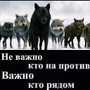 ���� ������, �������, 32 ���� - ��������� 14 ������ 2018 � ������ ���� ����������