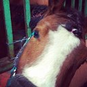 ���� ������, ������, 42 ���� - ��������� 20 ����� 2018 � ������ ������ ��������