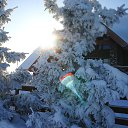 ���� �������, ������, 68 ��� - ��������� 3 ����� 2018 � ������ ������ ��������