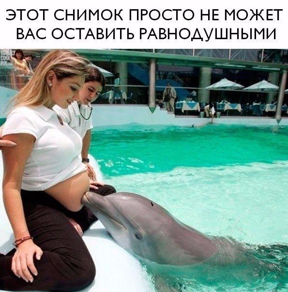 �������, ������, �������� - 25 ������� 2017 � 04:32