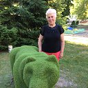 ���� ���������, �������, 72 ���� - ��������� 10 ���� 2018 � ������ ���� ����������