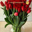 ���� �������, ����� - ��������� 8 ����� 2018 � ������ ���������� ������