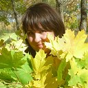 ���� ������, ������, 40 ��� - ��������� 30 ������ 2017 � ������ ���� ����������