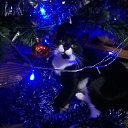 ���� ��������, �����, 63 ���� - ��������� 8 ������ 2018 � ������ ���� ����������