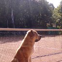 ���� ���������, �����-���������, 56 ��� - ��������� 19 ����� 2018 � ������ ������ ��������