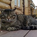 ���� ������, �����������, 40 ��� - ��������� 6 ������� 2018 � ������ ���� ����������