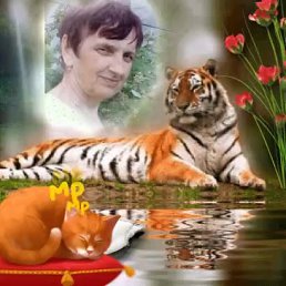 �����, ������, 69 ���